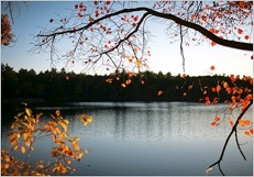 walden pond