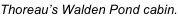shapeimage_4_link_4